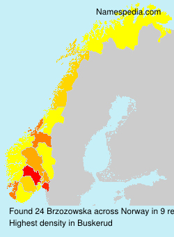 Surname Brzozowska in Norway Surname Brzozowska in Norway