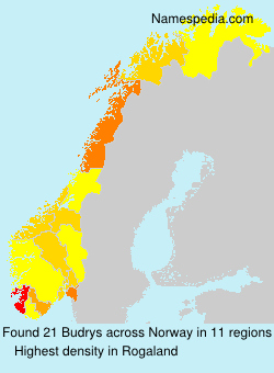 Surname Budrys in Norway Surname Budrys in Norway