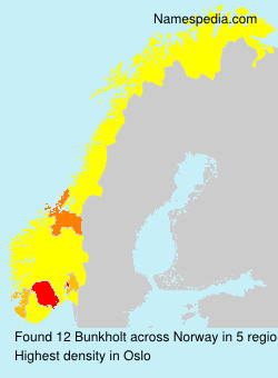 Surname Bunkholt in Norway