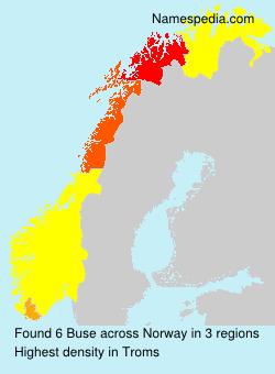 Surname Buse in Norway Surname Buse in Norway