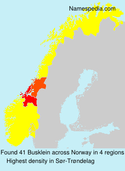 Surname Busklein in Norway Surname Busklein in Norway