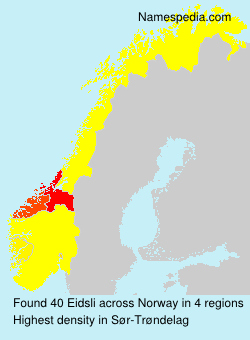 Surname Eidsli in Norway Surname Eidsli in Norway