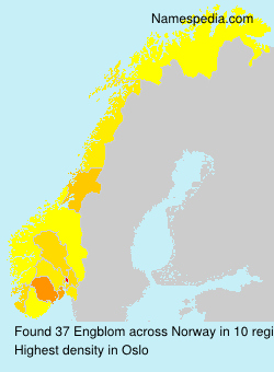 Surname Engblom in Norway Surname Engblom in Norway
