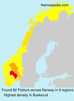 Surname Flattum in Norway Surname Flattum in Norway