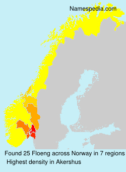 Surname Floeng in Norway Surname Floeng in Norway