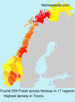Surname Fossli in Norway Surname Fossli in Norway