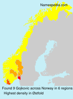 Surname Gojkovic in Norway Surname Gojkovic in Norway
