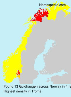 Guldhaugen Guldhaugen