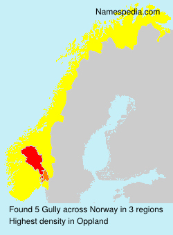 Surname Gully in Norway Surname Gully in Norway
