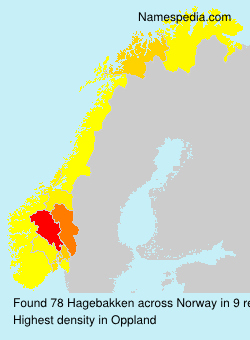 Surname Hagebakken in Norway Surname Hagebakken in Norway
