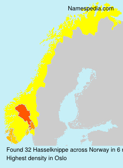 Surname Hasselknippe in Norway Surname Hasselknippe in Norway