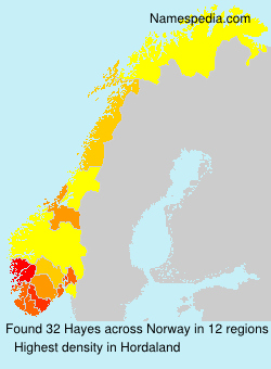 Surname Hayes in Norway Surname Hayes in Norway