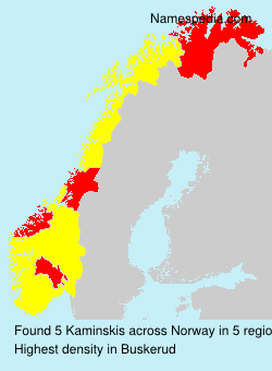 Surname Kaminskis in Norway Surname Kaminskis in Norway
