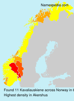 Surname Kavaliauskiene in Norway Surname Kavaliauskiene in Norway