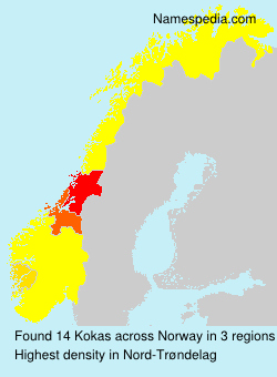 Kokas Kokas