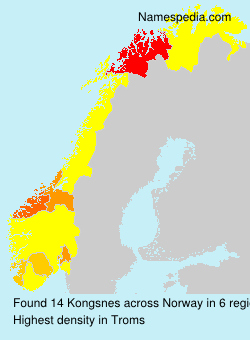 Kongsnes Kongsnes