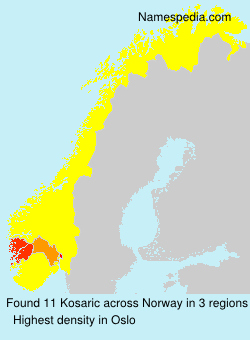 Surname Kosaric in Norway Surname Kosaric in Norway