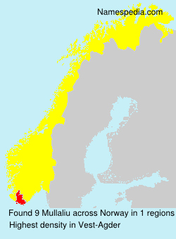 Surname Mullaliu in Norway Surname Mullaliu in Norway