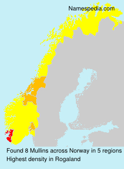 Surname Mullins in Norway Surname Mullins in Norway