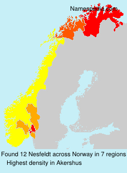 Surname Nesfeldt in Norway Surname Nesfeldt in Norway
