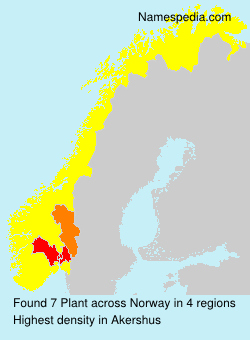 Surname Plant in Norway Surname Plant in Norway