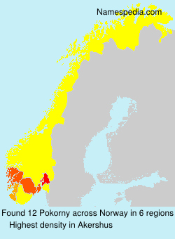 Surname Pokorny in Norway Surname Pokorny in Norway