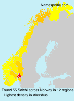 Surname Salehi in Norway Surname Salehi in Norway