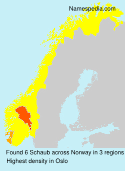 Surname Schaub in Norway