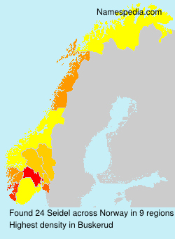 Surname Seidel in Norway Surname Seidel in Norway