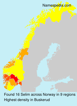 Surname Selim in Norway Surname Selim in Norway