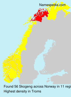 Surname Skogeng in Norway Surname Skogeng in Norway