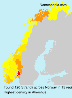 Surname Strandli in Norway Surname Strandli in Norway