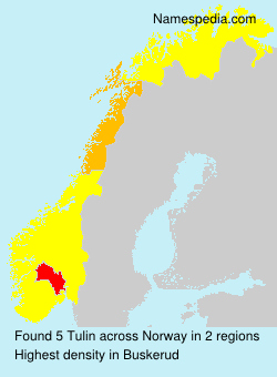 Surname Tulin in Norway Surname Tulin in Norway