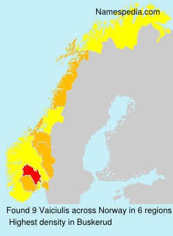 Surname Vaiciulis in Norway Surname Vaiciulis in Norway