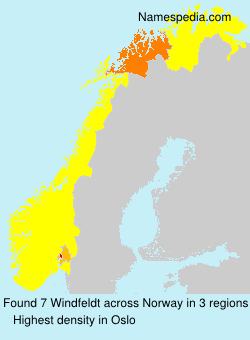 Surname Windfeldt in Norway Surname Windfeldt in Norway