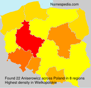 Aniserowicz Aniserowicz