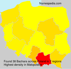 Bachara Bachara