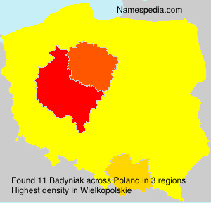 Surname Badyniak in Poland Surname Badyniak in Poland