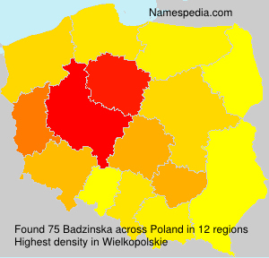 Badzinska Badzinska