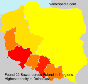 Bawer Bawer