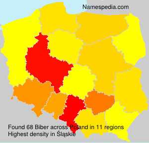 Surname Biber in Poland Surname Biber in Poland