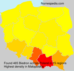 Biedron Biedron