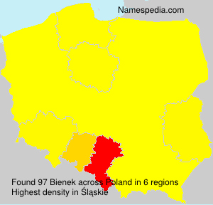 Bienek Bienek