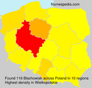 Blachowiak Blachowiak
