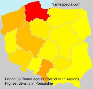 Surname Bluma in Poland Surname Bluma in Poland