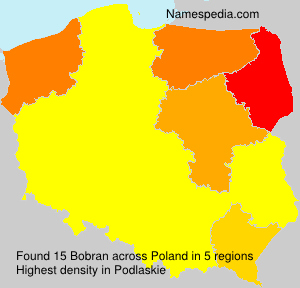 Bobran Bobran