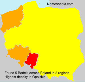Bodnik Bodnik