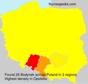 Bodynek Bodynek
