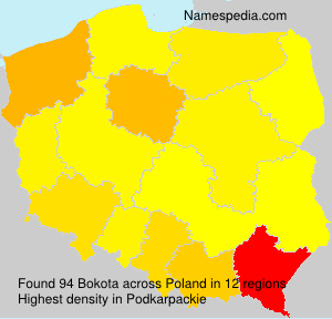 Bokota Bokota
