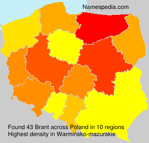 Surname Brant in Poland Surname Brant in Poland